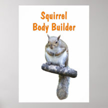 Squirrel Bodybuilder