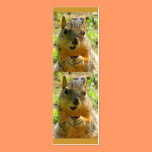 Squirrel Bookmark business cards