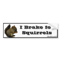 Squirrel Bumper Sticker