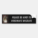 Squirrel bumper sticker