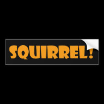 Squirrel Bumper Sticker bumper stickers