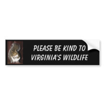 Squirrel bumper sticker featuring "Summer" bumper stickers by lovemydogs22 Squirrel bumper sticker featuring "Summer" bumper stickers