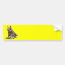 squirrel bumper stickers