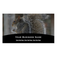 Squirrel Business Card