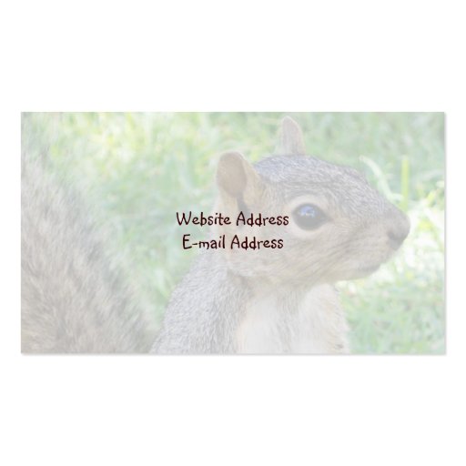 Squirrel Business Cards (back side)