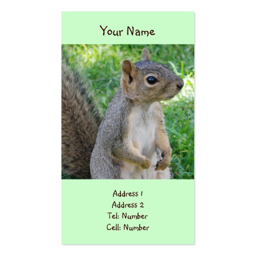 Squirrel Business Cards (front side)