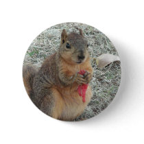 Squirrel buttons by tina312 Squirrel buttons
