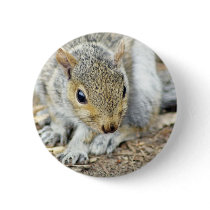 squirrel button