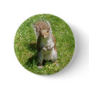 Squirrel Button by emele1 Squirrel Button