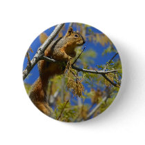Squirrel Button