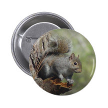 Squirrel Button 2