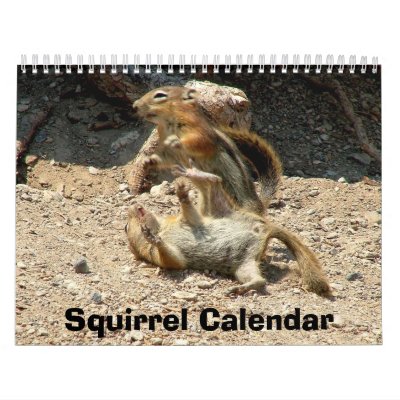 Squirrel Calendar by ribizlifozelek