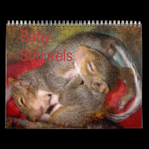 Squirrel Calendar calendars