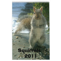 Squirrel Calendar 2011