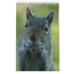Squirrel Calendar 2011