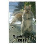 Squirrel Calendar 2012