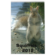 Squirrel Calendar 2012