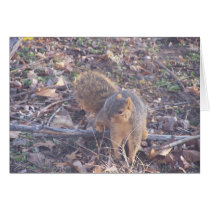 squirrel card by KatAnnette squirrel card