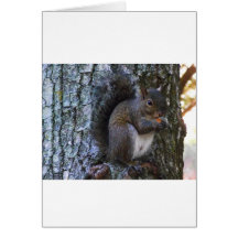 Squirrel Card