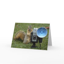 squirrel card large 100 by scottjohnson squirrel card large 100