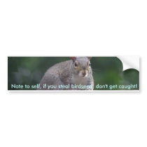 Squirrel Caught In the Act Product Series bumper stickers by Daylily_Dreams_Photo Squirrel Caught In the Act Product Series bumper stickers