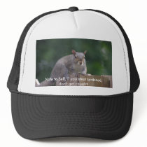 Squirrel Caught In the Act Product Series hats by Daylily_Dreams_Photo Squirrel Caught In the Act Product Series hats