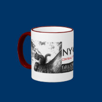 Squirrel, Central Park, NYC Mug mugs
