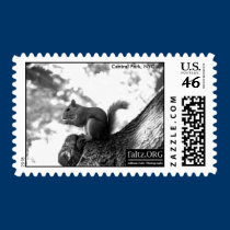 Squirrel, Central park, NYC stamps