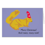 Squirrel Christmas Card