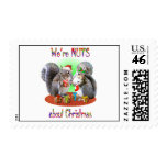 Squirrel Christmas Nuts Stamps