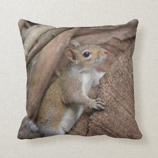 squirrel climbing tree cute animal color throw pillows Zazzle