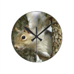 Squirrel Clock wall clocks