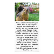 Squirrel Closeup Personalized Photo Card