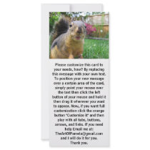 Squirrel Closeup Custom Rack Card