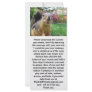 Squirrel Closeup Custom Rack Card