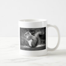 Squirrel Coffee Mugs