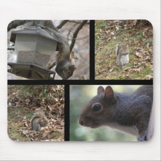 Squirrel Collage Mousepad mousepad