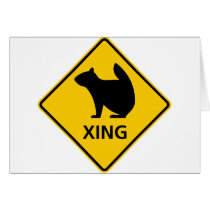 Squirrel Crossing Highway Sign Greeting Card