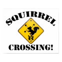 Squirrel Crossing Road Sign posters by haywiregraphics Squirrel Crossing Road Sign posters