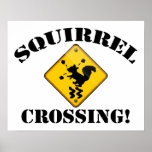 Squirrel Crossing Road Sign posters