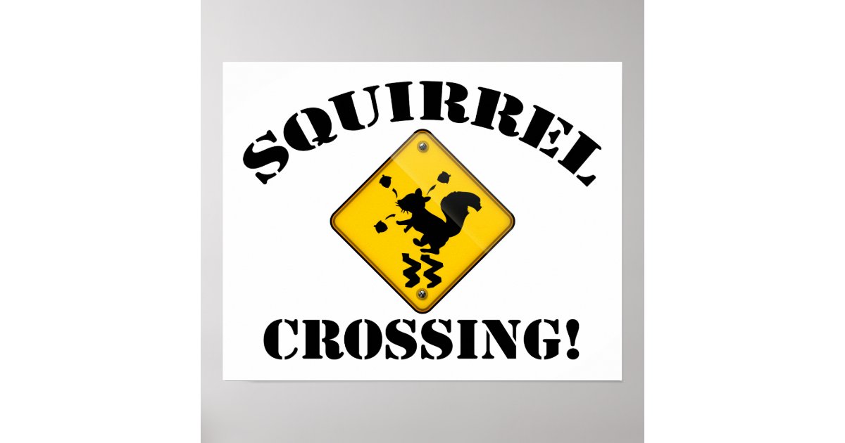 Squirrel Crossing Road Sign Poster Zazzle