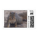 squirrel Cute Stamp by KatAnnette squirrel Cute Stamp