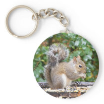 Squirrel Cutie keychains