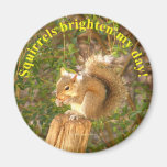 Squirrel Day Brightener Fridge Magnet
