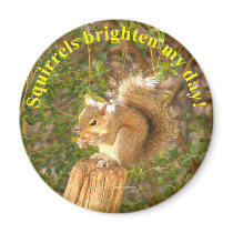Squirrel Day Brightener Fridge Magnet