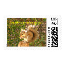 Squirrel Day Brightener stamps