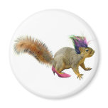 Squirrel Dress Up magnets