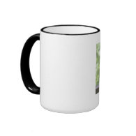 Squirrel Drinking a Cocktail Coffee Mugs