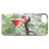 Squirrel Drinking a Cocktail iPhone 5 Case