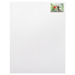 Squirrel Drinking Cocktail letterhead